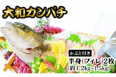 大和ｶﾝﾊﾟﾁ半身(ﾌｨﾚ)約1.2kg～1.5kg×2枚かぶと付き N072-YD0192