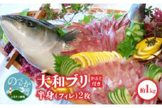 【大和ブリ】半身(ﾌｨﾚ)約1kg×2枚かぶと付き N072-YD0190