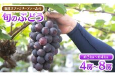 【田口ﾌｧﾐﾘｰﾌｧｰﾑ】旬のぶどう(4房~8房) N053-YZD0143