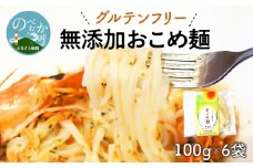 【グルテンフリー】無添加おこめ麺100g×6袋 N0107-YA030