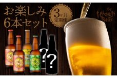 【3ヶ月定期便】宮崎ひでじビールお楽しみ6本セット N073-YZD0104