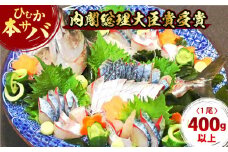 【内閣総理大臣賞受賞！】ひむか本サバ１尾(セミドレス)400ｇ以上 N025-YA0386