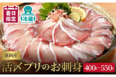 【冷蔵】【日向灘どれ】延岡産 活〆ブリ お刺身 400g～550g 【最短10日後以降発送可】チルド冷蔵 ぶりしゃぶ ぶり刺身 旬 国産 宮崎県 延岡市 請関水産 海産物 海の幸 魚介 お取り寄せ お取り寄せグルメ 送料無料 N019-YA2259
