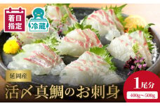 【冷蔵】【日向灘どれ】延岡産活〆真鯛のお刺身半身ロインパック×2（1尾分）400～500g N019-YA5508