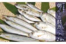 【単月お届け】大和海商の朝どれ鮮魚小魚パック2.4kg N072-YA2241