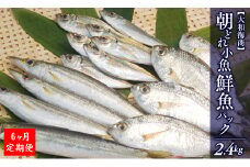 【6ヶ月定期便】大和海商の朝どれ鮮魚小魚パック2.4kg N072-YE093