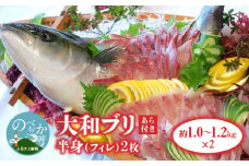 【大和ﾌﾞﾘ】半身(ﾌｨﾚ)約1kg×2枚(ｽｷﾝﾚｽﾛｲﾝ仕様あら付き) N072-YD0191