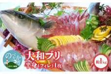 【大和ブリ】半身(ﾌｨﾚ)約1.0kg×1枚ｽｷﾝﾚｽﾛｲﾝ仕様 N072-YB327