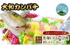 【大和ｶﾝﾊﾟﾁ】半身(ﾌｨﾚ)約1.0kg～1.2kg×2枚(ｽｷﾝﾚｽﾛｲﾝ仕様)あら付 N072-YD0193