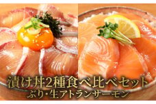 【冷凍】活〆日向灘ぶりと生アトランサーモンの漬け丼2種食べ比べセット100g×8袋 N019-YA949