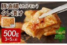 【宮崎産】豚直腸(ホルモン)タレ漬け500g(3～5人前)N061-YA0456