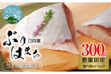 数量限定日向灘ぶり(はまち)うまみ極点製法食べきりﾊﾟｯｸ300g N124-YZA3304