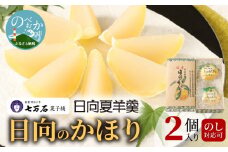 日向のかほり2個入り N0127-YA189