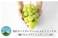 【田口ﾌｧﾐﾘｰﾌｧｰﾑ】ぶどうﾐｯｸｽ(瀬戸ジャイアンツ入り)2~4房(約1.5kg~2kg)(2025年8月中旬発送開始) N053-YZB072