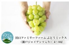 【田口ﾌｧﾐﾘｰﾌｧｰﾑ】ぶどうﾐｯｸｽ(瀬戸ジャイアンツ入り)4~8房(約3kg~4kg) N053-YZD0141