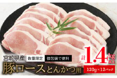 宮崎県産豚ﾛｰｽとんかつ用120g×12ﾊﾟｯｸ計1.4kg以上 N124-YZA2230