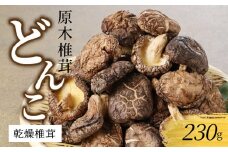 乾燥椎茸どんこ230g N0128-YA3365