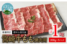 <数量限定・便利な個包装>宮崎牛もも焼肉用200g×5袋計1kg N124-YZC043