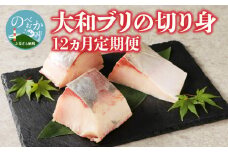 【12ヵ月定期便】大和海商 大和ブリの切り身 N072-YG0184