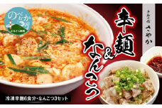 辛麺 6食分＆なんこつ3セット N040-YB923