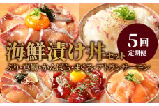 お魚の漬け丼バラエティ5回定期便 N019-YE097