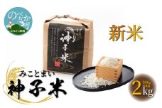 新米神子米500g×4袋計2kgみことまい N0137-YA090
