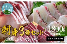 鰤屋金太郎【冷凍】ぶりたいかんぱちスキンレスロイン各種600g N018-YZC520_2