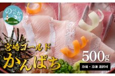 鰤屋金太郎【冷凍】かんぱちスキンレスロイン500g N018-YZA0405_2