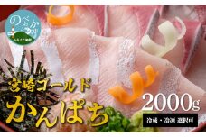 鰤屋金太郎【冷凍】かんぱちスキンレスロイン2000g N018-YZC709_2
