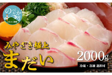 鰤屋金太郎【冷蔵】たいスキンレスロイン2000g N018-YZC224_1