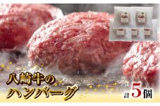 八崎牛のハンバーグ120g×5個 N0105-YZA4408