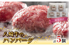 八崎牛のハンバーグ120g×5個【贈答向け】 N0105-YZA596