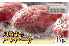 八崎牛のハンバーグ120g×8個 N0105-YZB246
