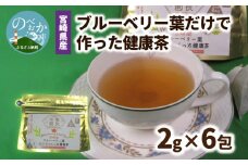 宮崎県産 ブルーベリー葉 だけで作った 健康茶 ポリフェノール　N048-YZA095
