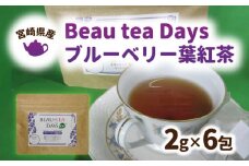Beau tea Days ブルーベリー葉 紅茶　N048-YZA096