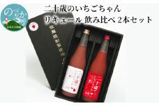 二十歳のいちごちゃんリキュール飲み比べ2本セット N085-YZA727