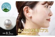 あこや本真珠ピアス真珠8.5mm14Kホワイトゴールド N0119-YZF030