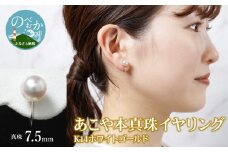 あこや本真珠ｲﾔﾘﾝｸﾞ14Kﾎﾜｲﾄゴールド N0119-YZG0105