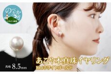 あこや本真珠イヤリング真珠8.5mm14Kホワイトゴールド N0119-YZG0107