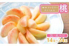 【田口ﾌｧﾐﾘｰﾌｧｰﾑ】旬の桃 2L～4L(14～24玉)(2025年6月中旬発送開始) N053-YZB710