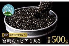 宮崎キャビア1983(500g) N027-YM004