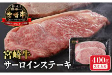 宮崎牛 サーロインステーキ400g N0140-YA963