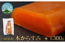 宮崎県産本からすみ 一腹 約300g N027-YG0215
