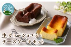 生ガトーショコラ＆チーズケーキセット N0153-YZB225