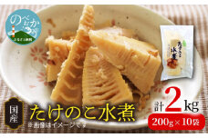 たけのこ水煮 200g×10袋 計2kg 国産  小分け パック 簡単調理 常温 グルメ 食品 食べ物 野菜 山の幸 山菜 株式会社大久保商店 宮崎県 延岡市 お取り寄せ 送料無料 N067-YA766
