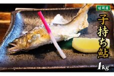 【延岡産】小分けで便利！冷凍子持ち鮎１kg N017-YZA173