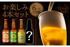 【6ヶ月定期便】宮崎ひでじビールお楽しみ4本セット N073-YZD0105