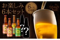 【6ヶ月定期便】宮崎ひでじビールお楽しみ６本セット N073-YZE057