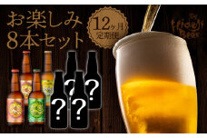 12ヶ月定期便宮崎ひでじビールお楽しみ8本セット N073-YZH035