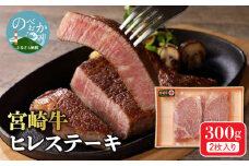 宮崎牛 ヒレステーキ 2枚 300g　N0140-YB722